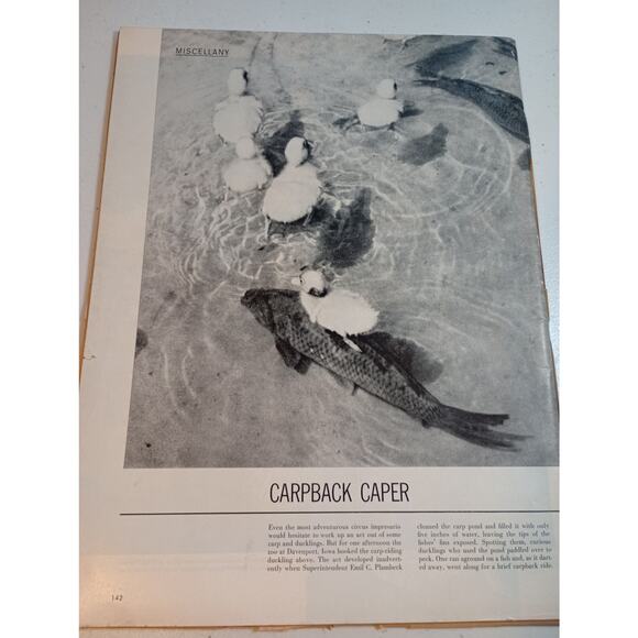 Vintage Life Magazine June 21 1954 Prettiest Chorus Girl In Las Vegas - Picture 5 of 11